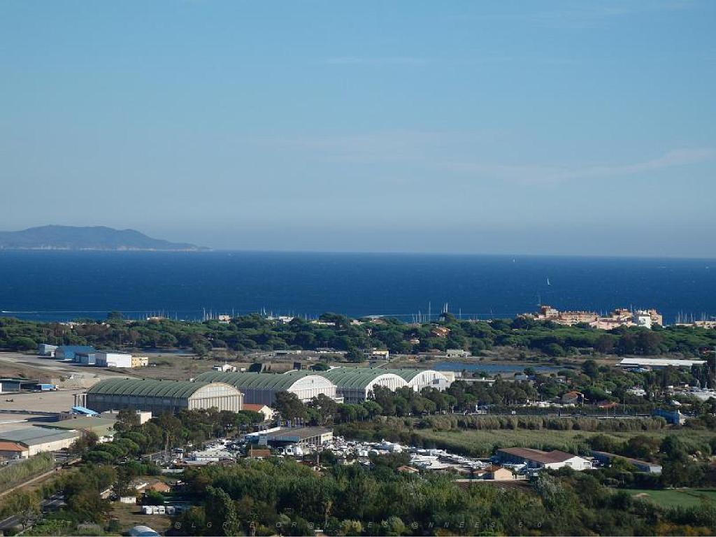 183 HYERES ET SES PALMIERS D15_000029.jpg